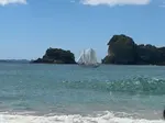 Coromandel is home to world renowned Cathedral Cove and Hot Water Beach, where you can build your own spa in the sand.