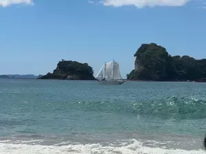 Coromandel is home to world renowned Cathedral Cove and Hot Water Beach, where you can build your own spa in the sand.