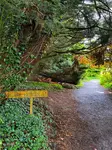The Dark Hedges is a highly photogenic lane lined with Beech Trees, that was used as the King's Road in Game of Thrones.
