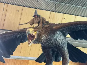 Windy Wellington is New Zealand's capital city and basically Middle-earth for Lord of the Rings fans. 