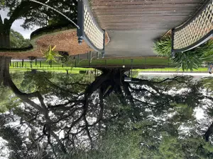 I've wanted to visit Australia for most of my life. I made an impromptu trip to Sydney, Australia.