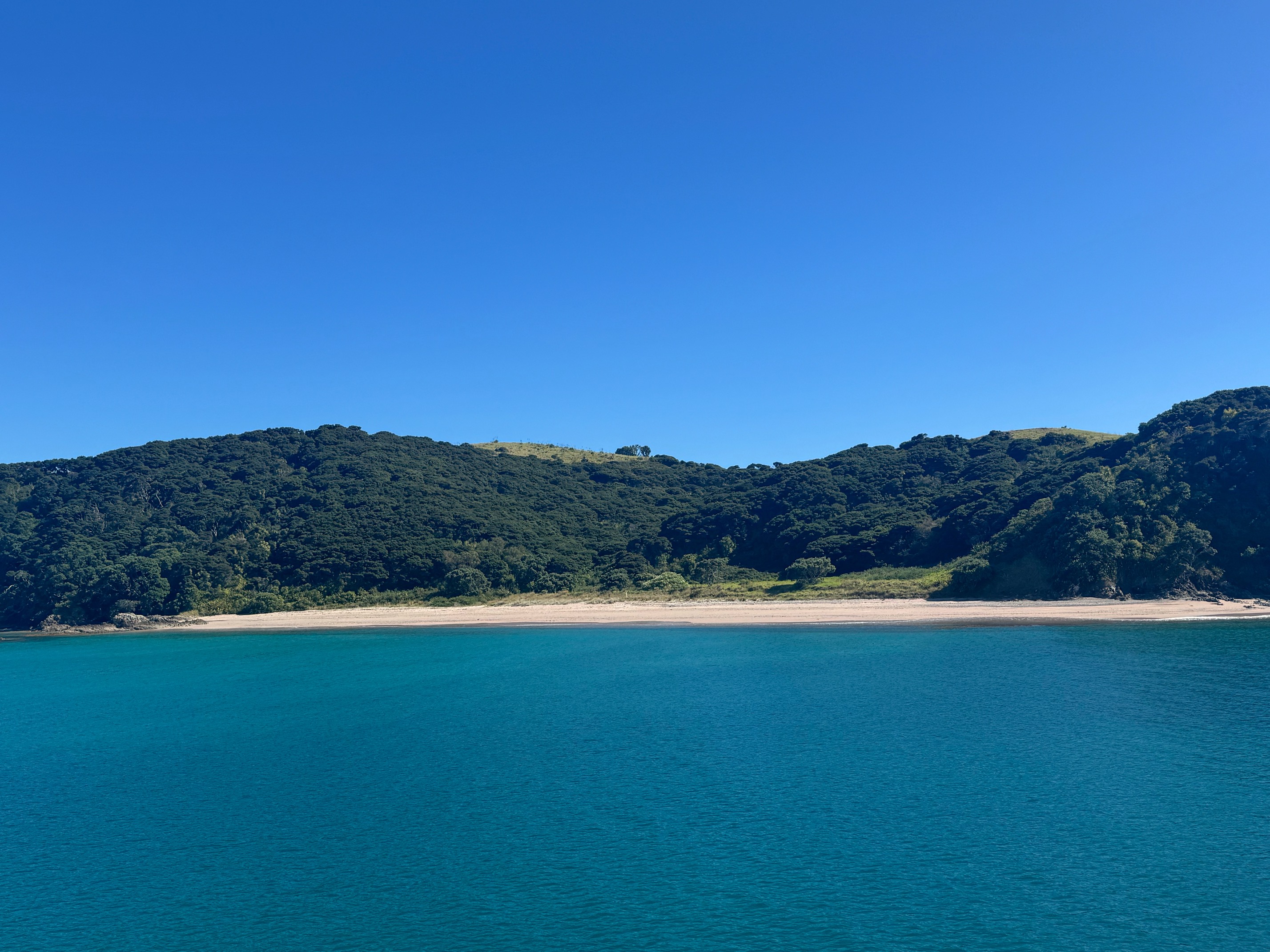 Bay of Islands 4