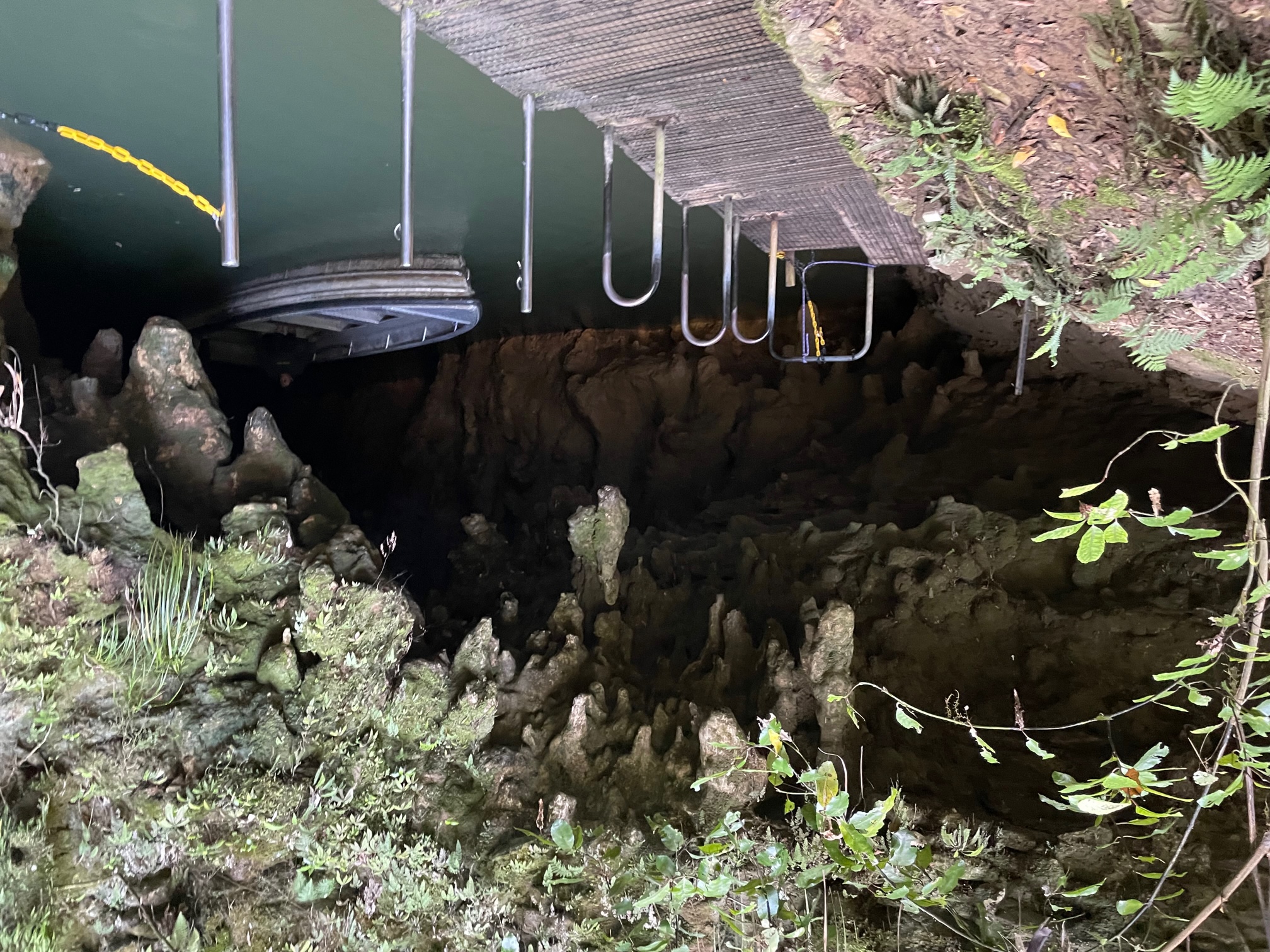 Cave Exit