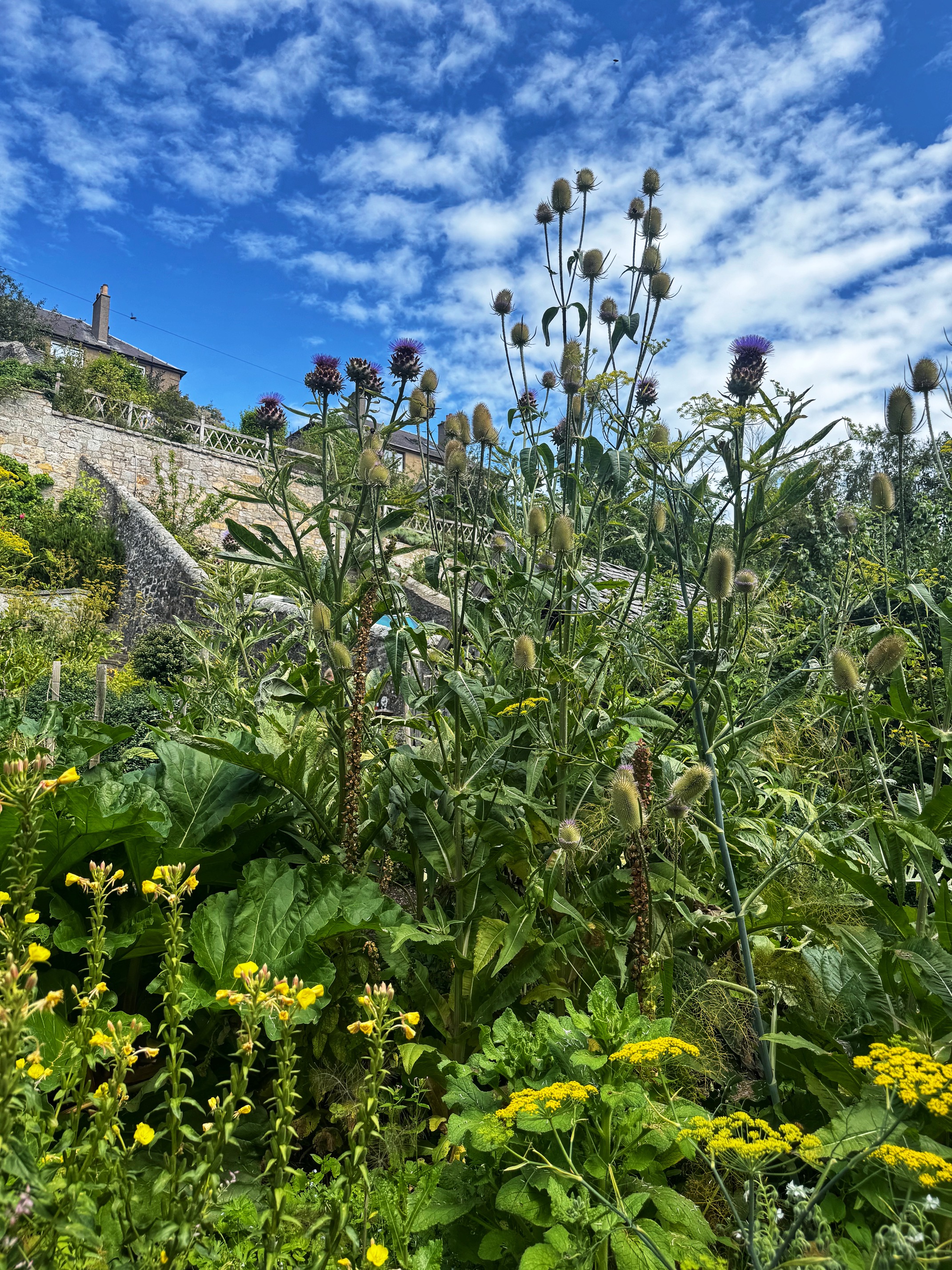 Culross Tiered Gardens 2 Culross Tiered Gardens 2