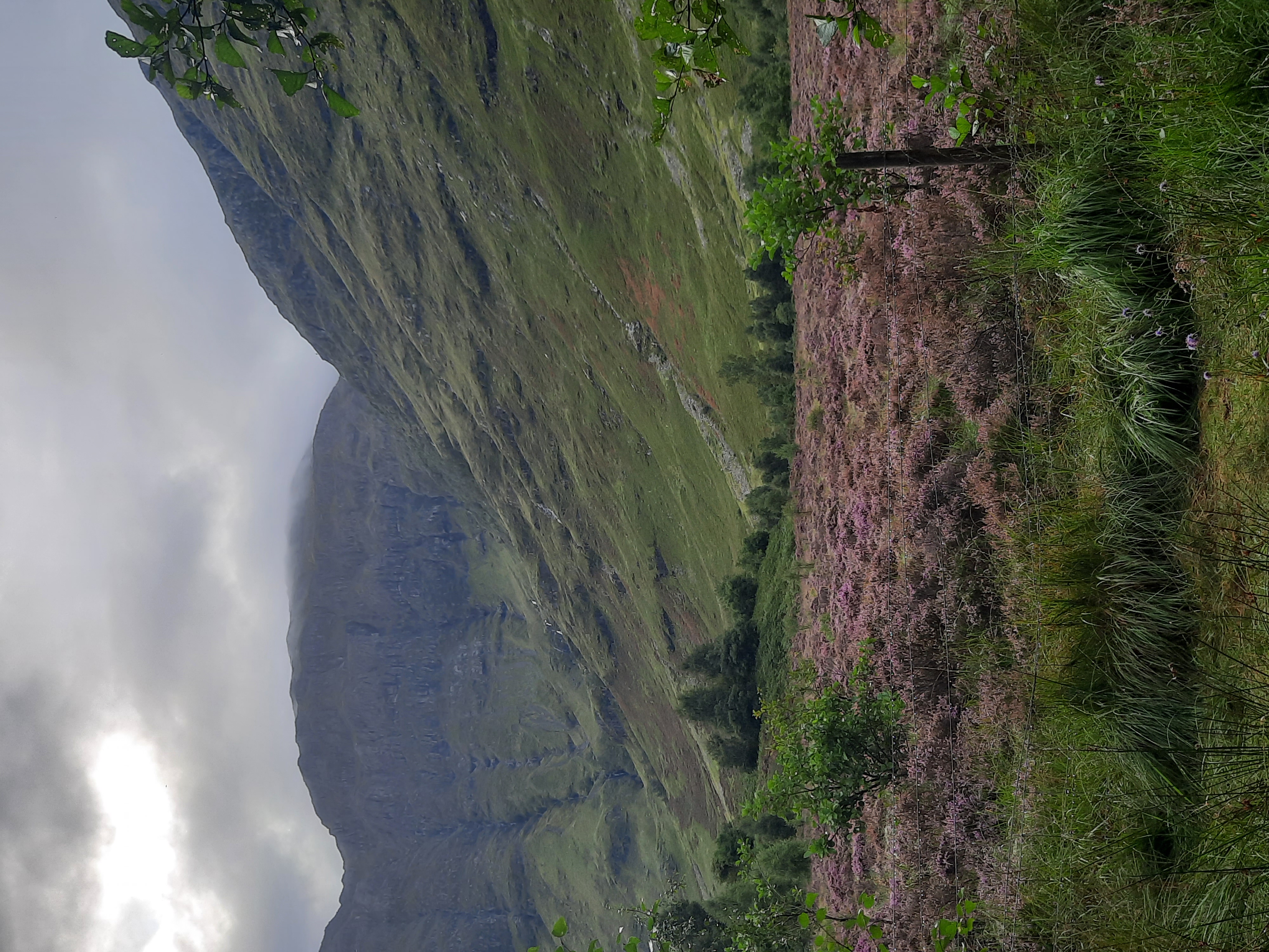 Glencoe 3