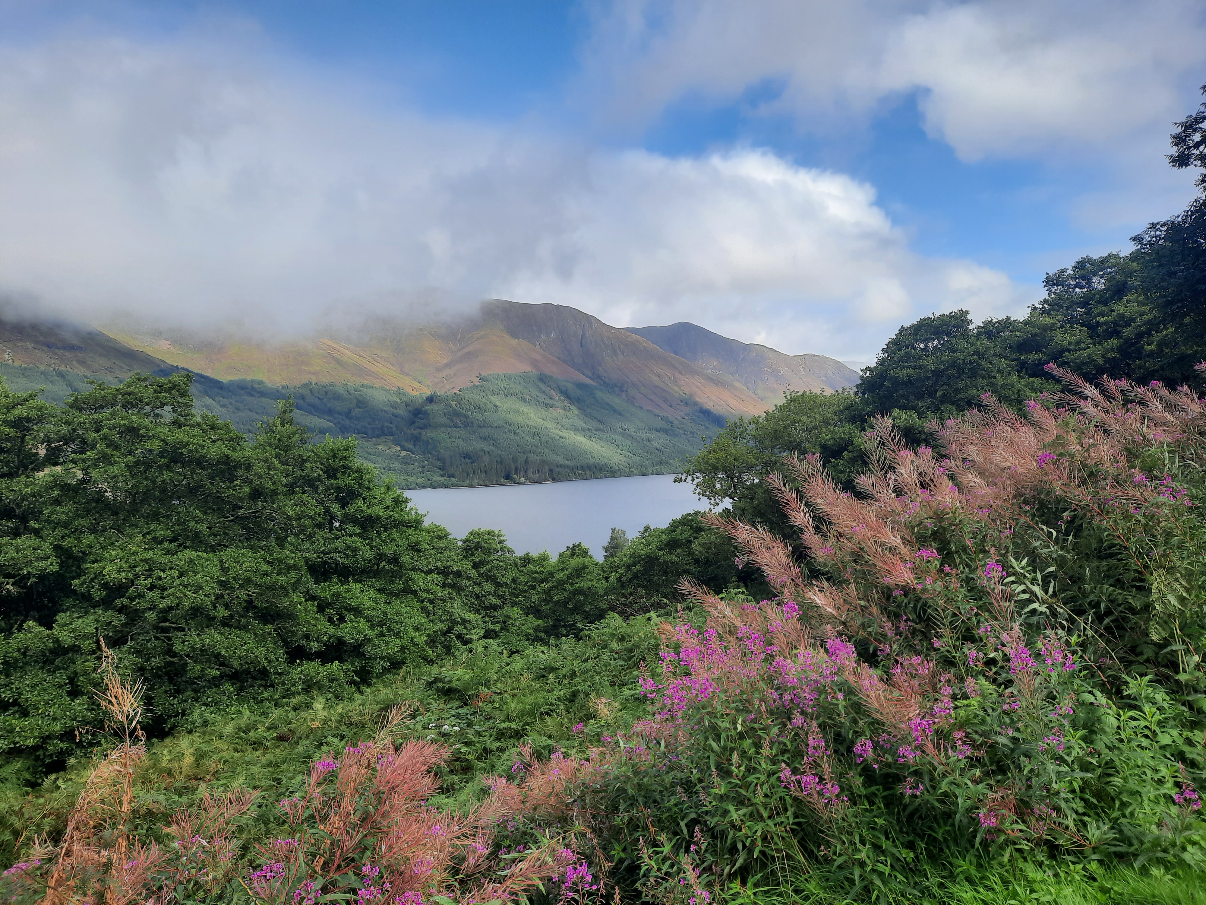 Glencoe 9