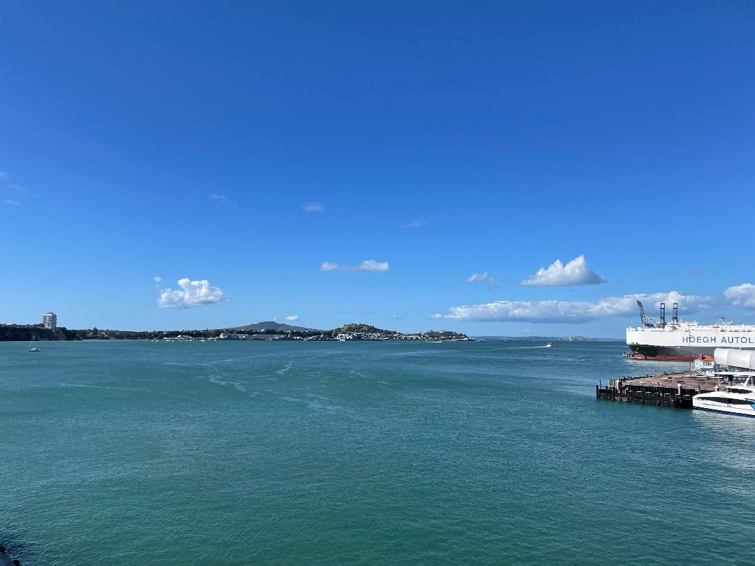 Hilton Auckland Room View