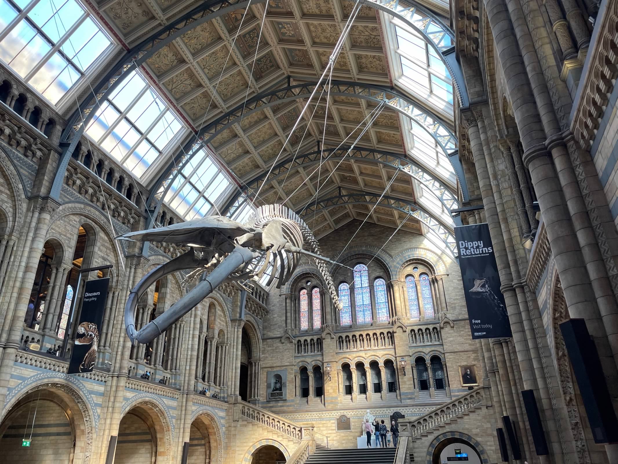 Natural History Museum 2