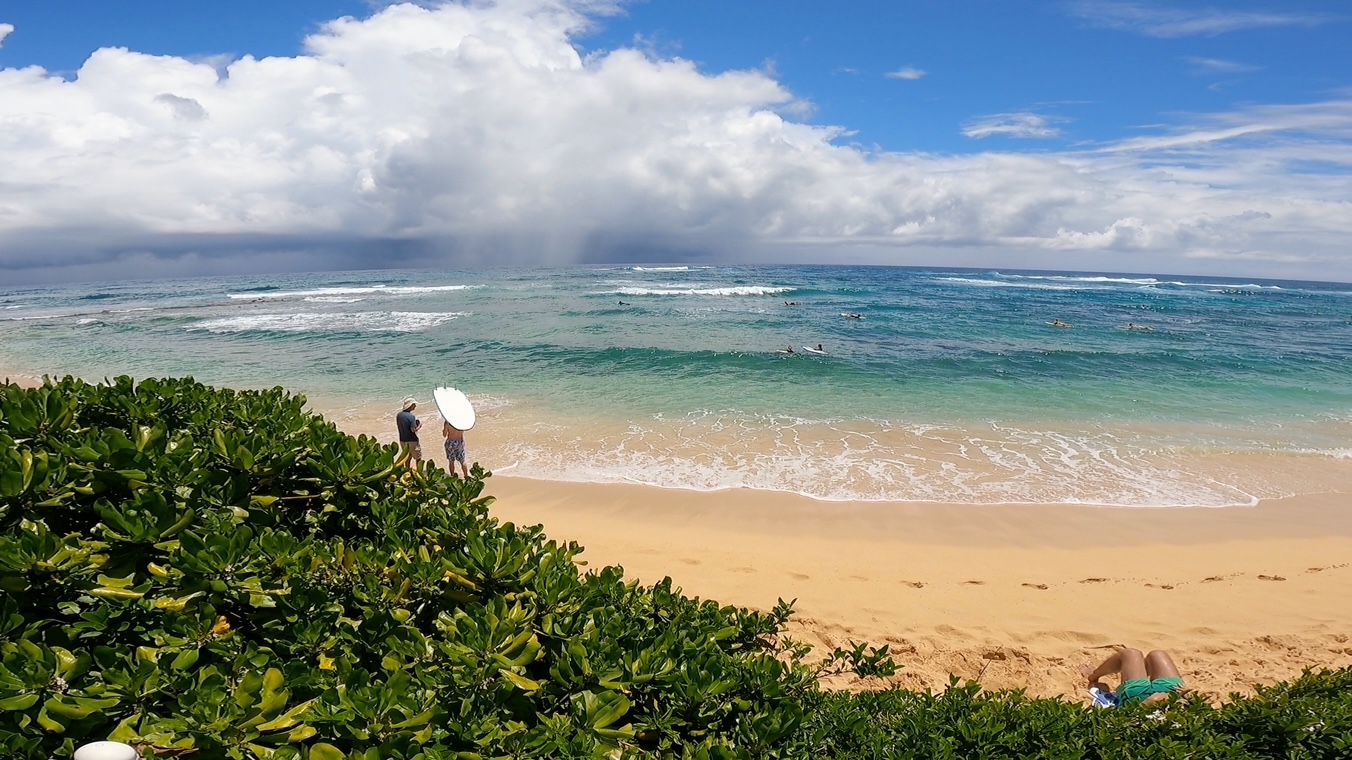 Kauai Surfer