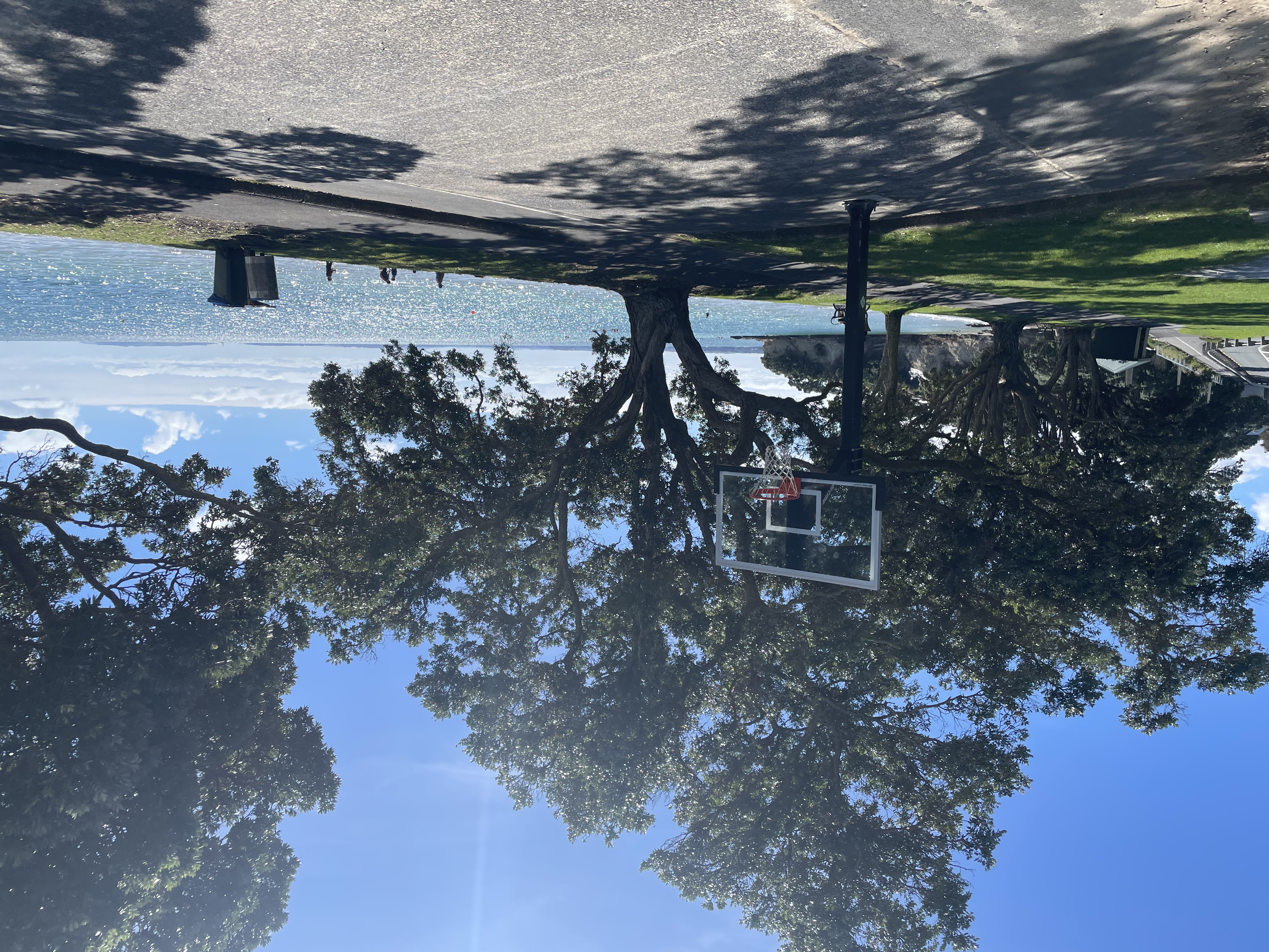 Narrow Neck Beach Hoop