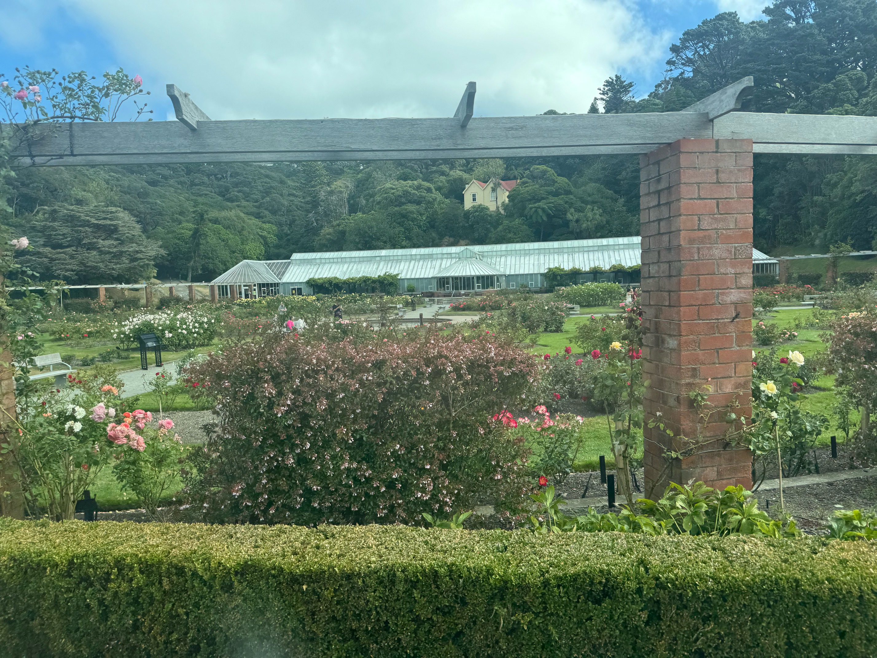 Rose Garden Wellington