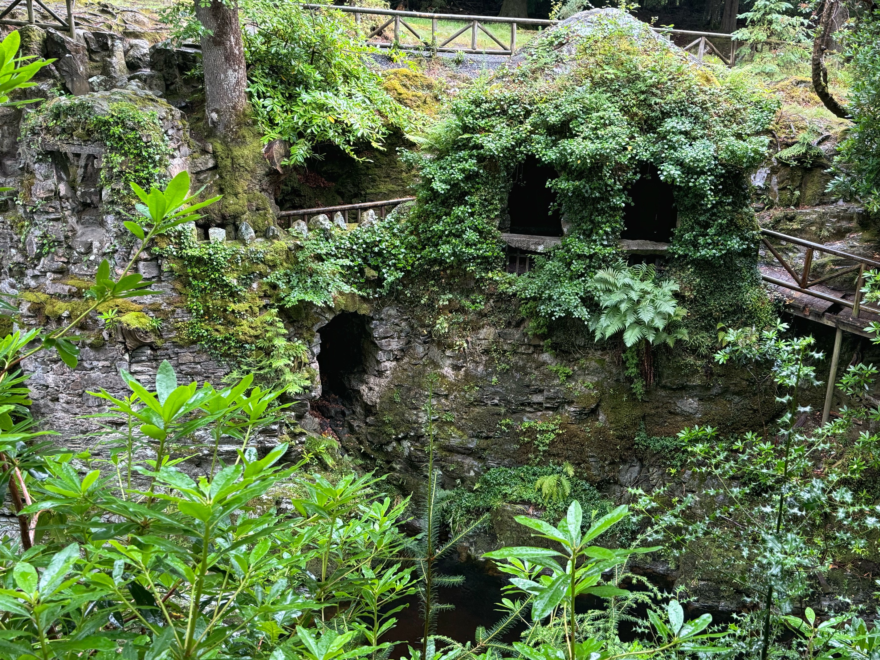 Tollymore Forest Treehouse