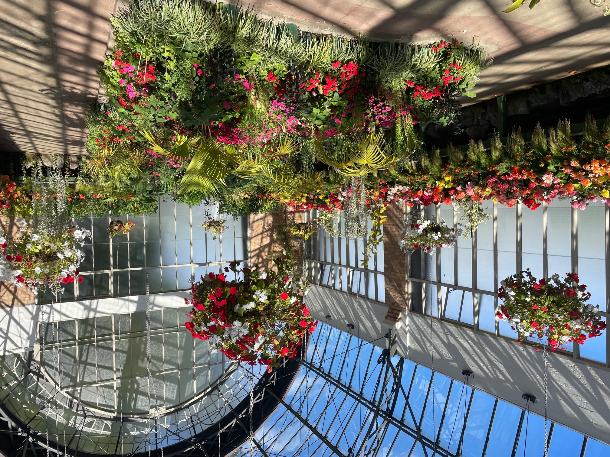 Wintergarden 2