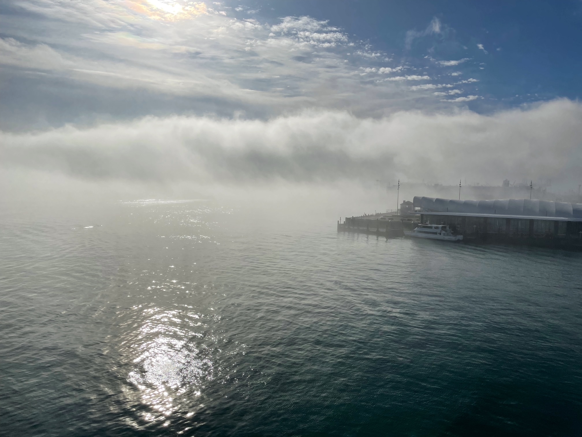 Aotearoa 