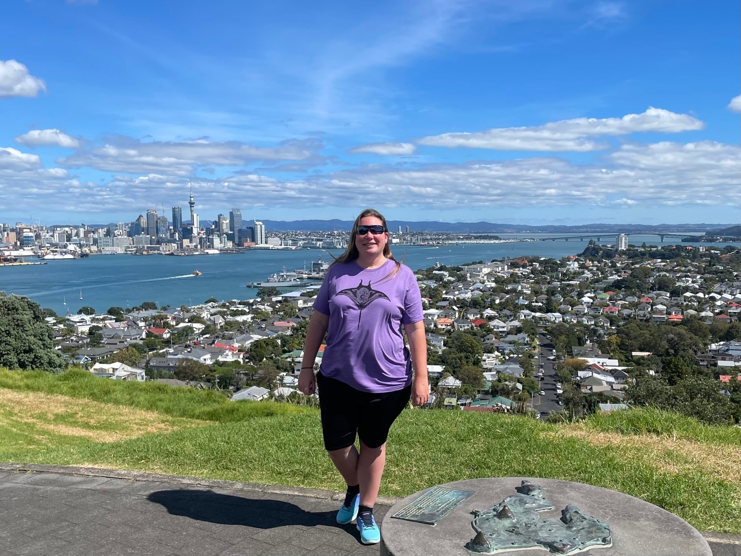 Auckland Skyline