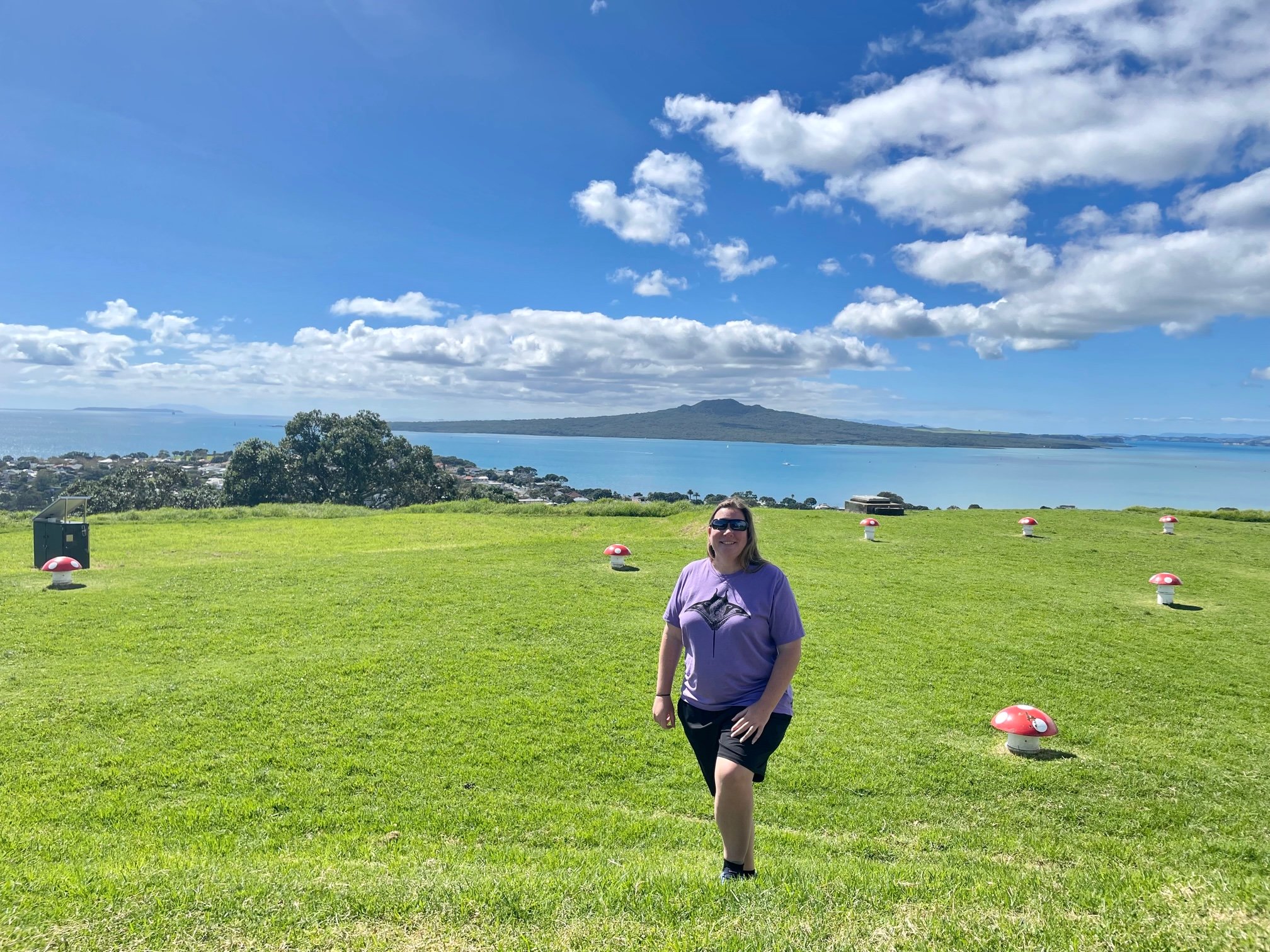 Auckland Toadstools