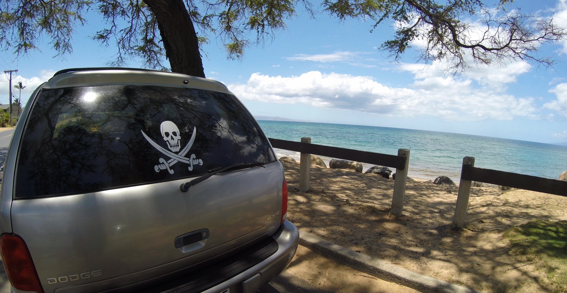Beast at the Beach