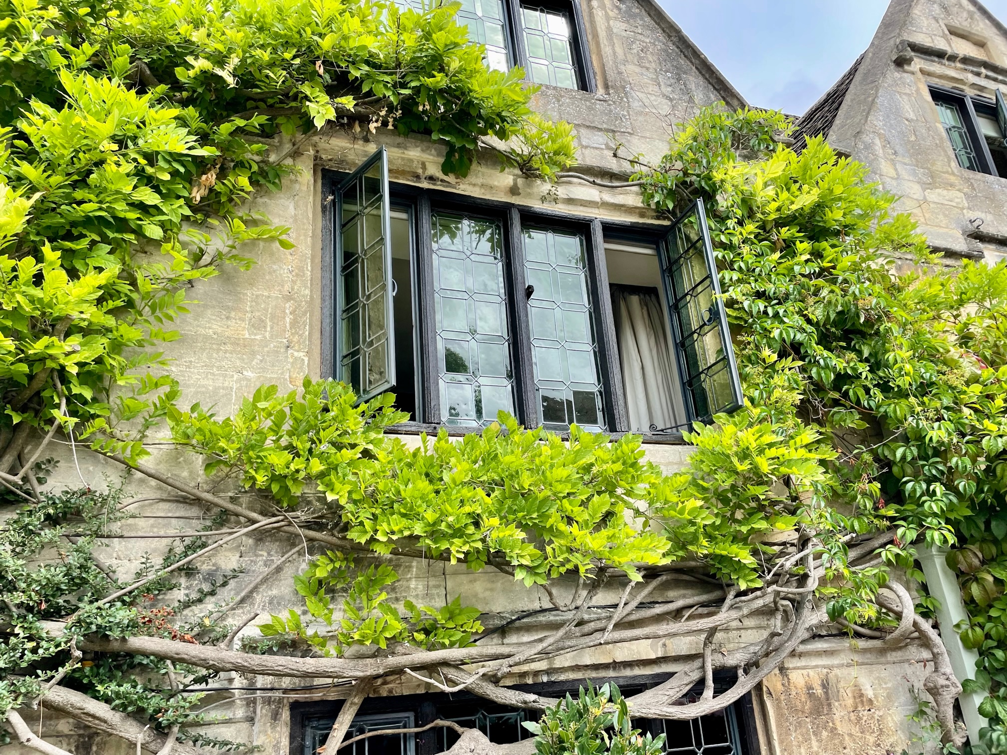 Burford Window Burford Window