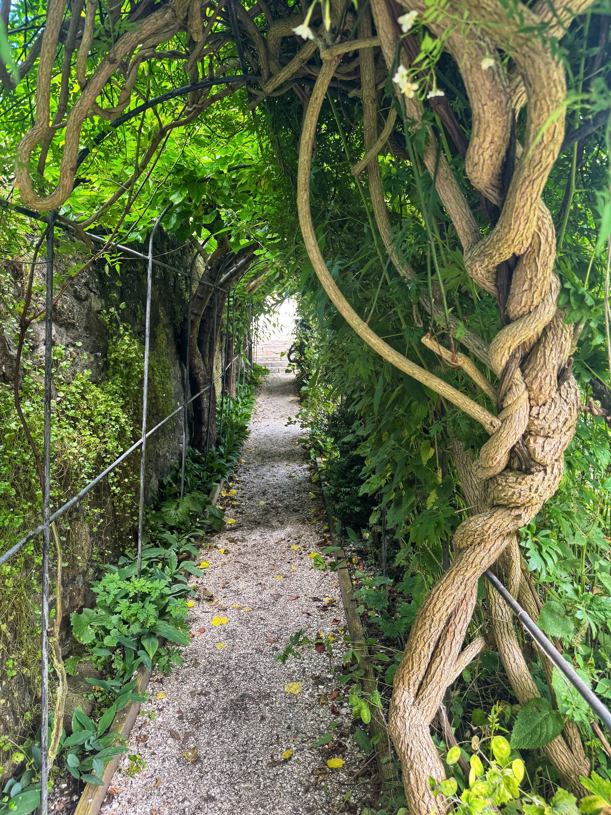 Culross Garden Path