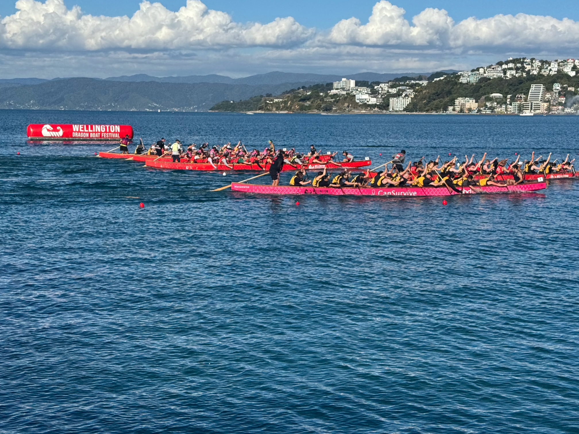 Dragonboat Races Wellington
