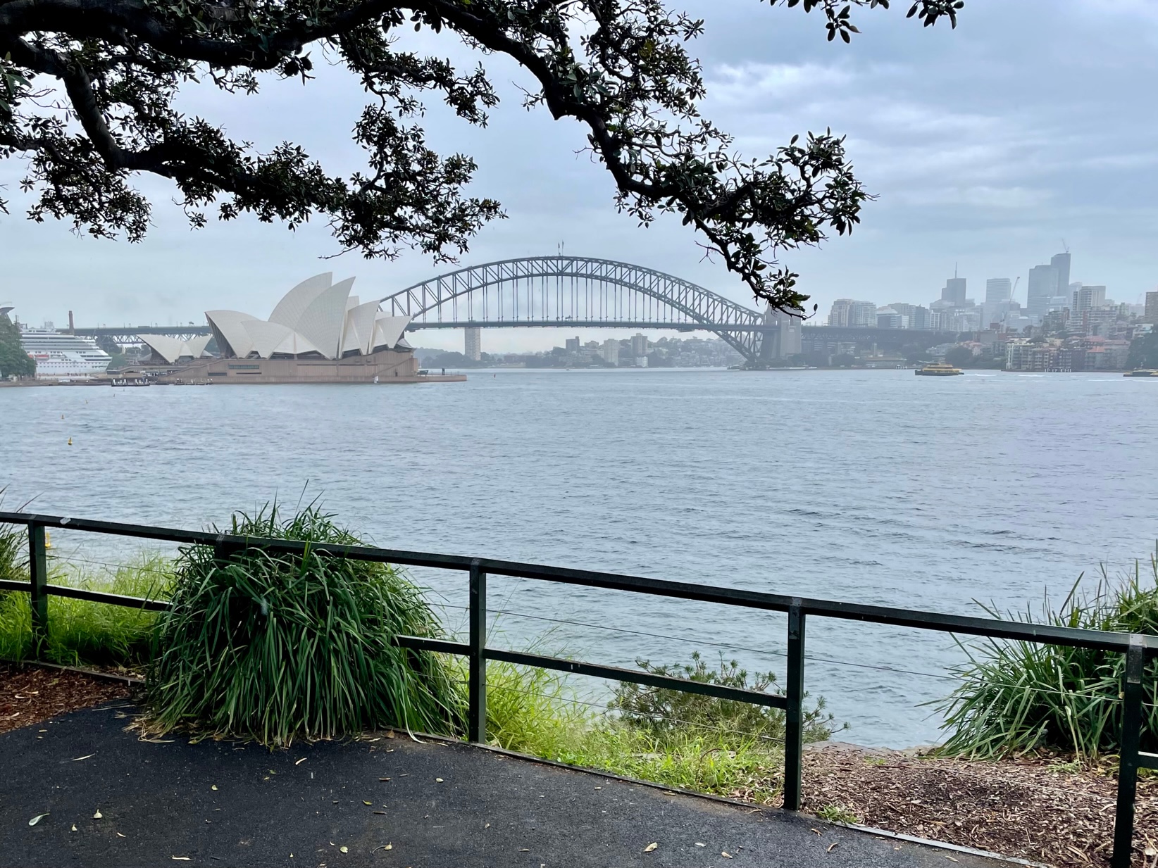 Sydney Harbor Lookout