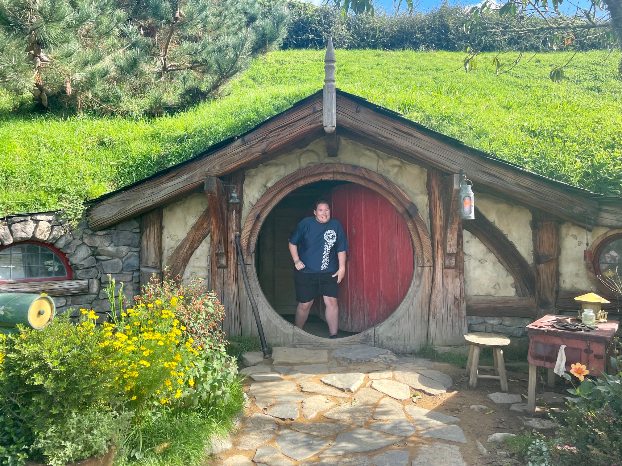 Hobbiton Open Door