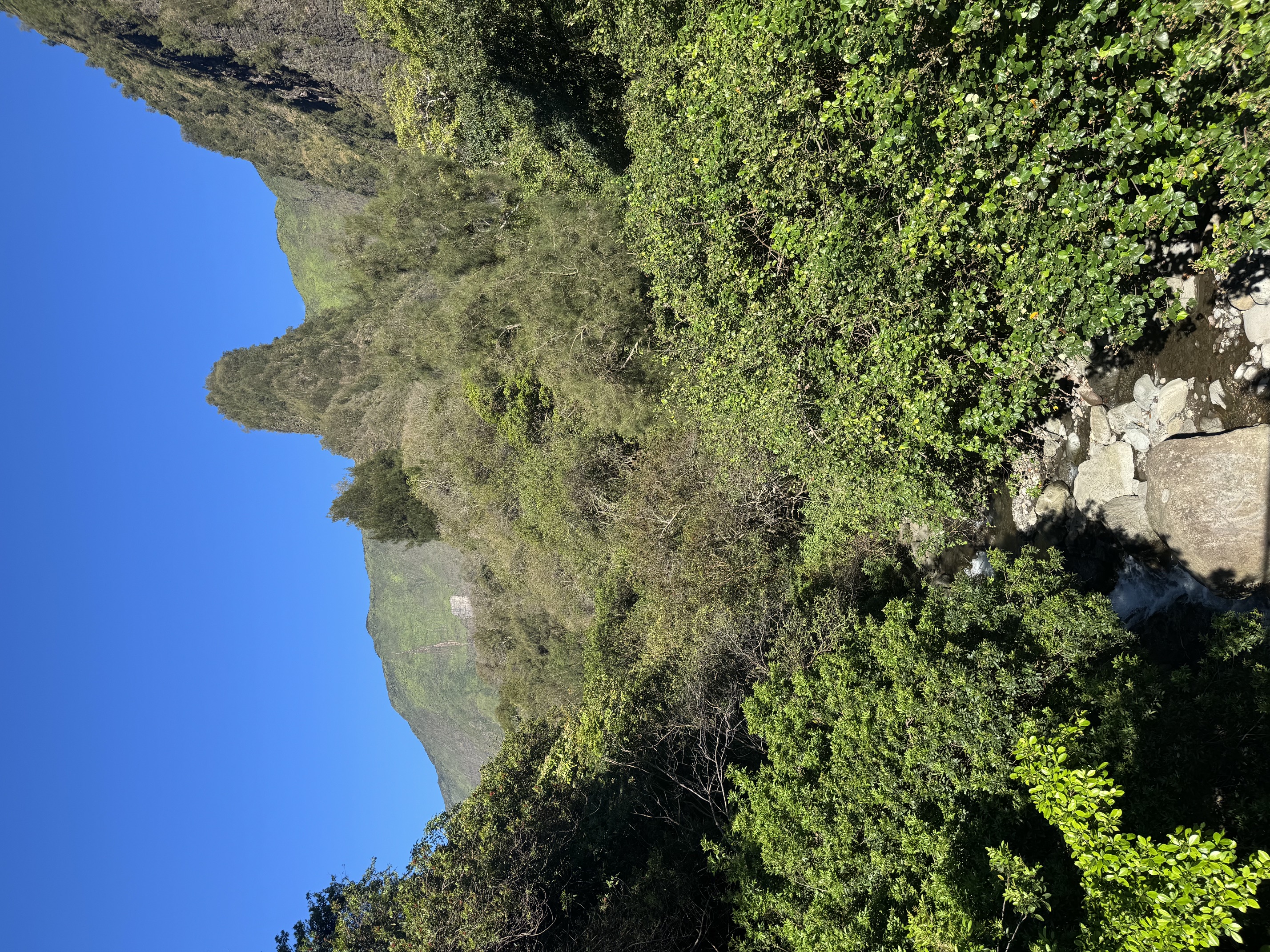 Iao Needle Iao Needle