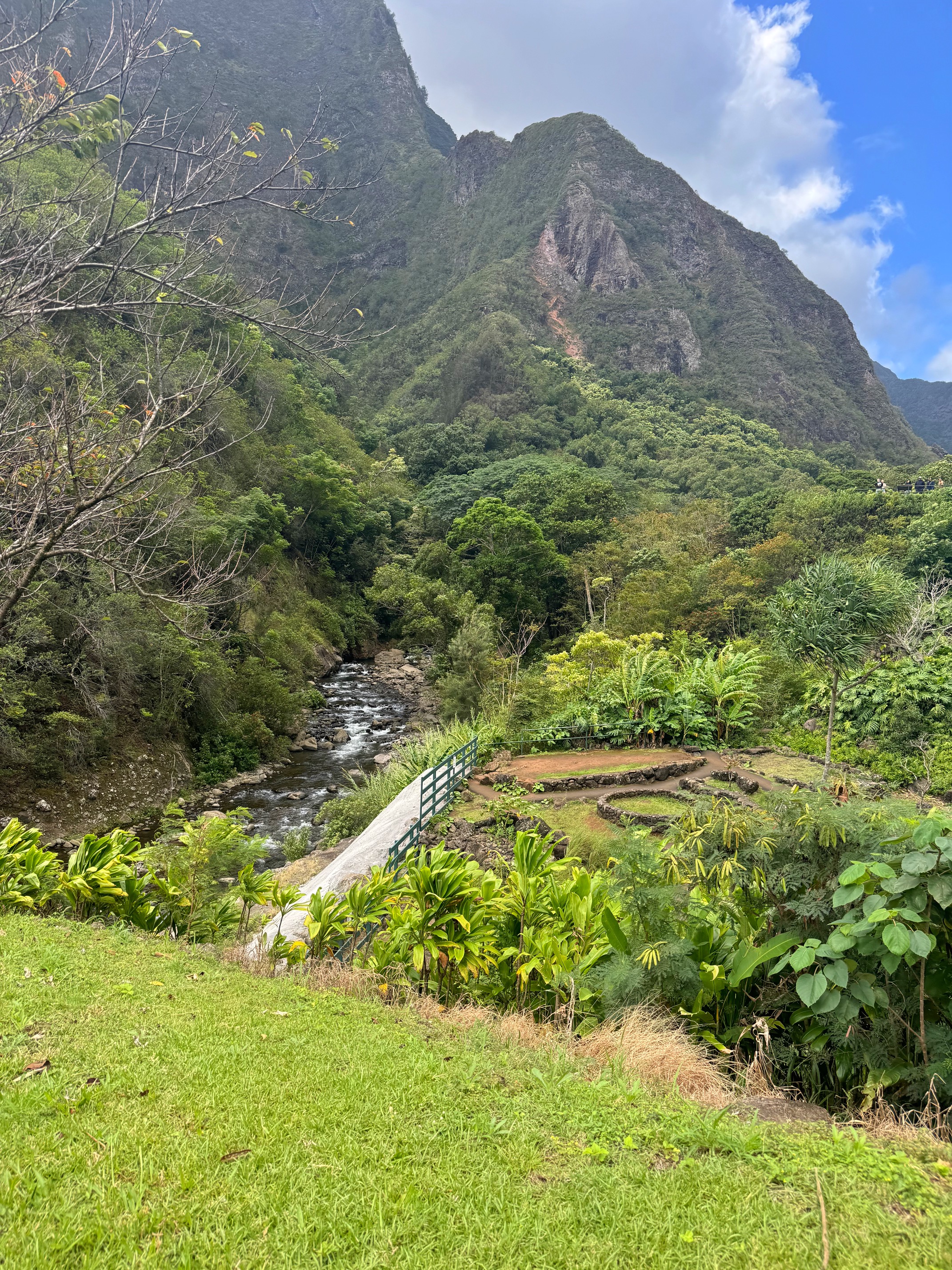 Iao Valley
