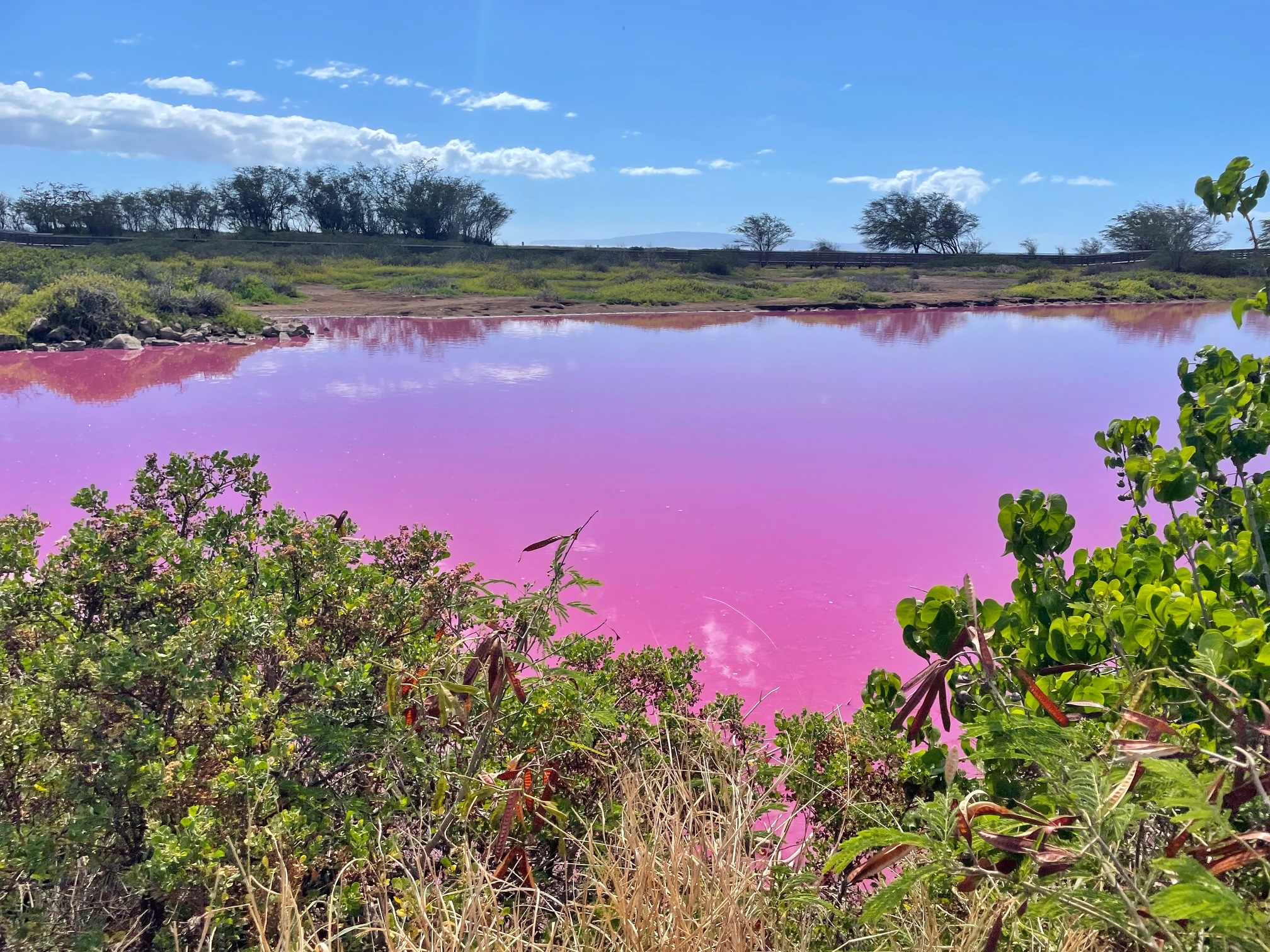 Keālia Pond National Wildlife Refuge