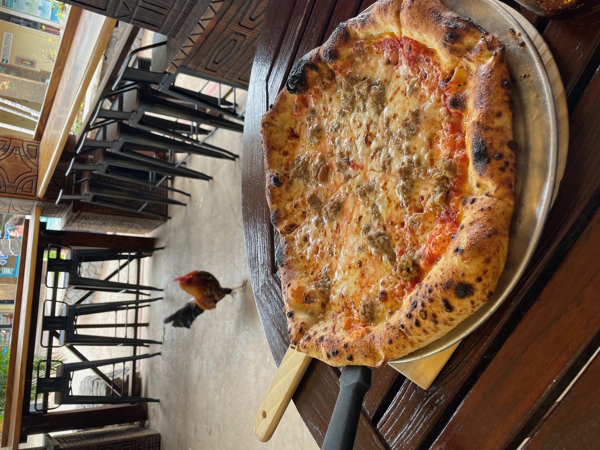 North Point Pizza