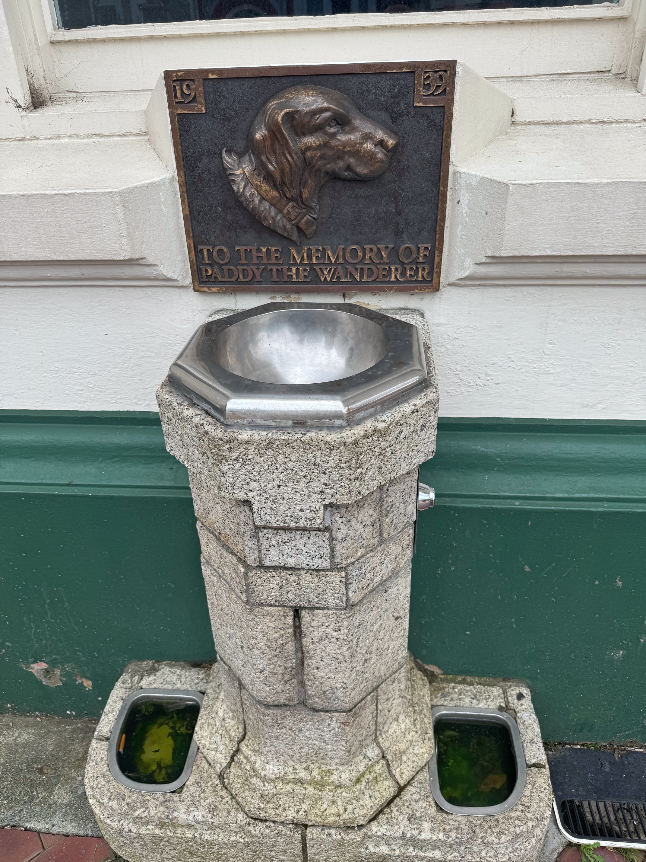 Paddy the Wanderer Paddy the Wanderer