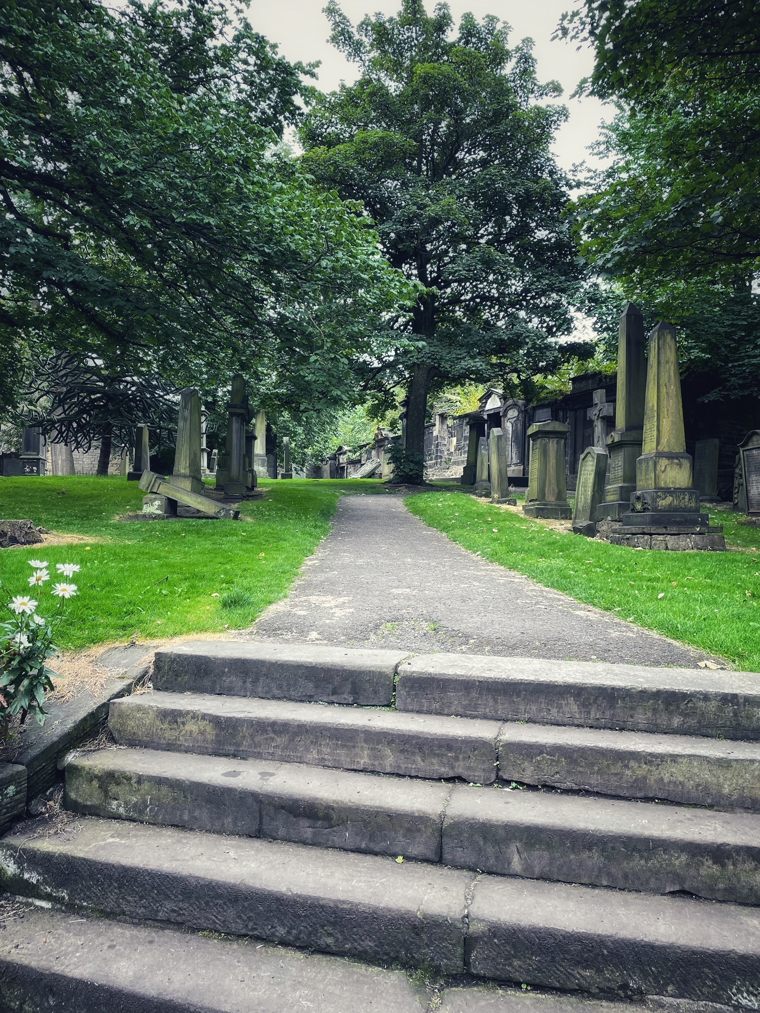 St Cuthert's Walkway