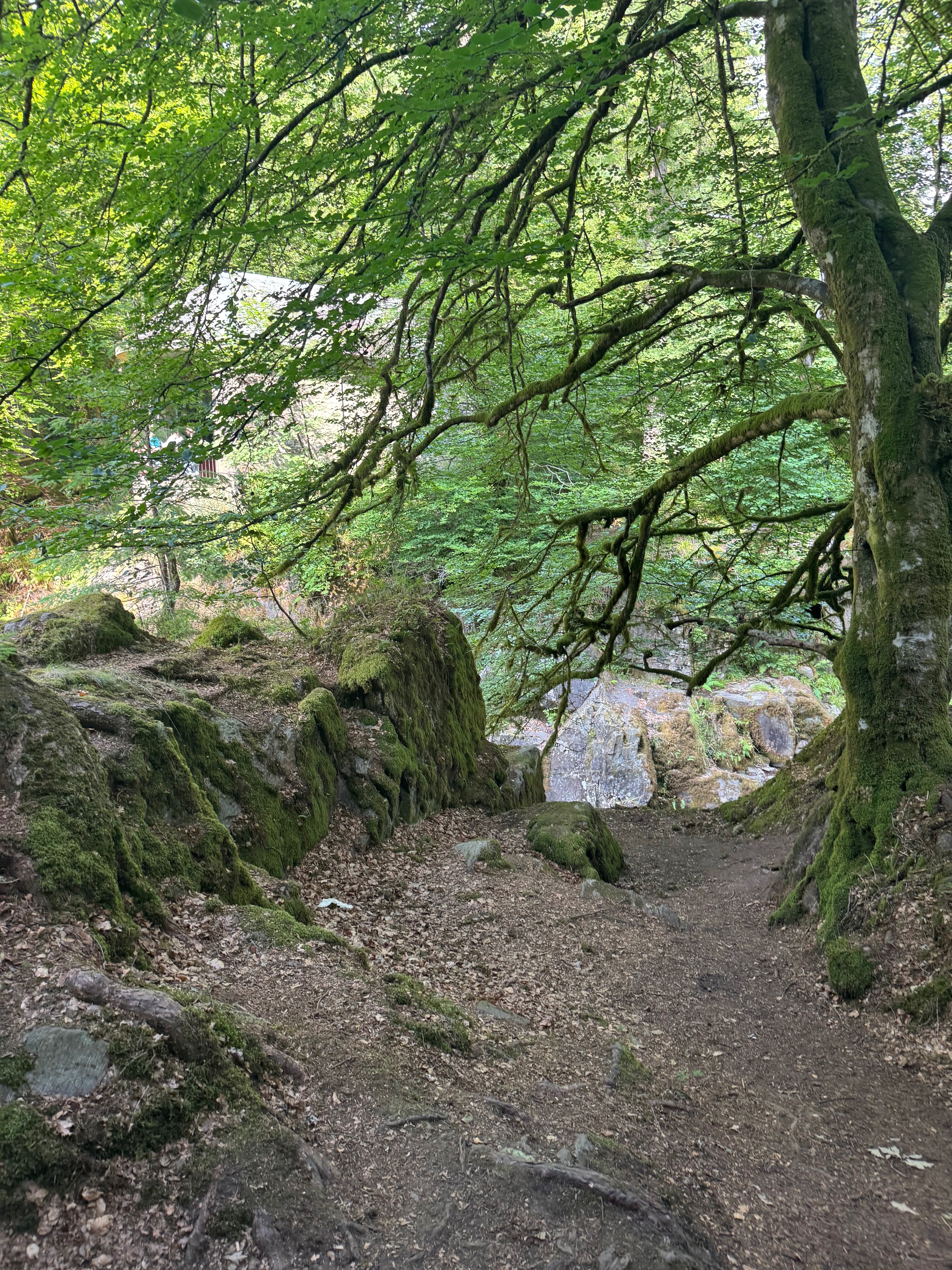 The Hermitage 2