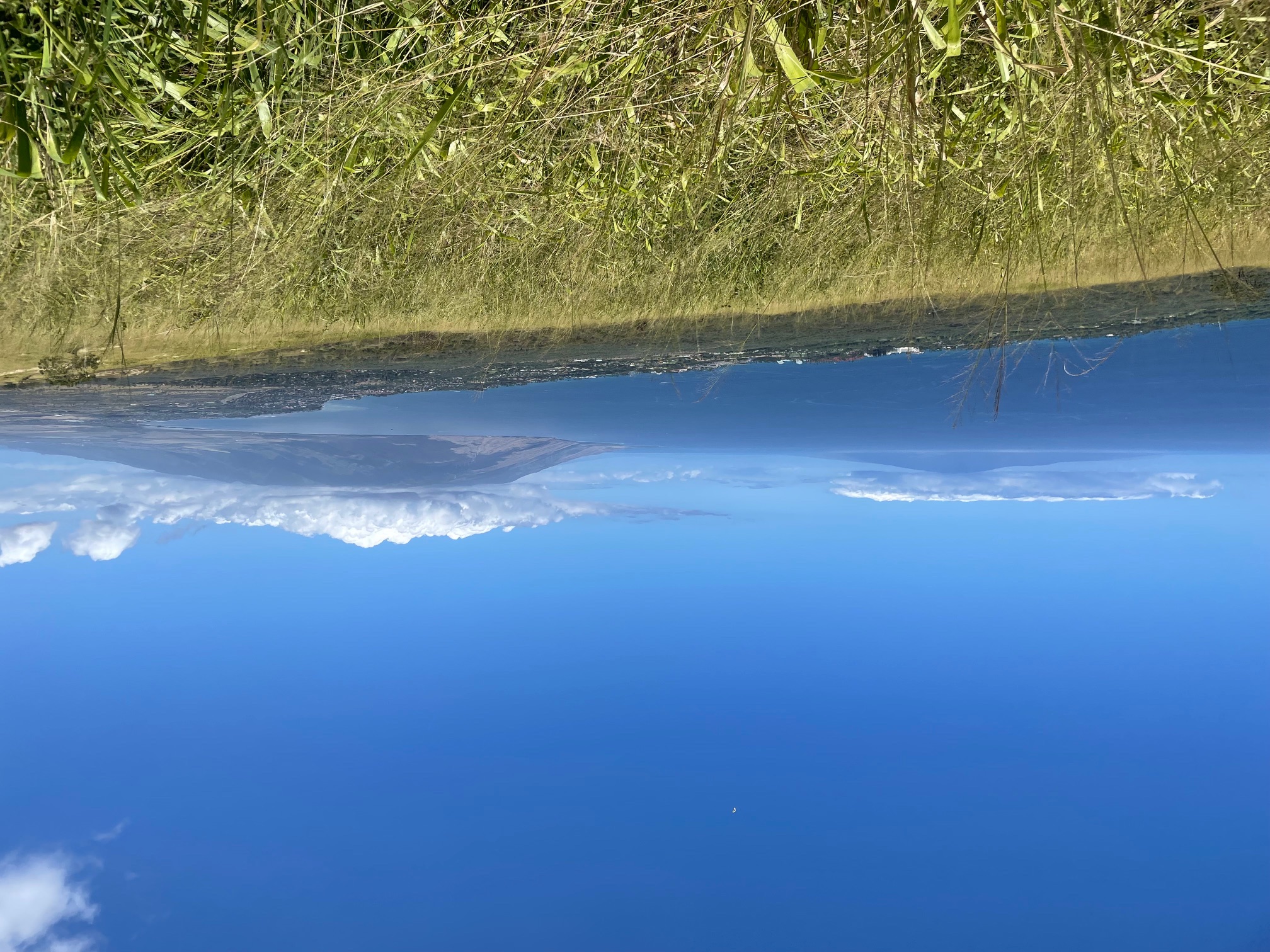 View from Ulupalakua