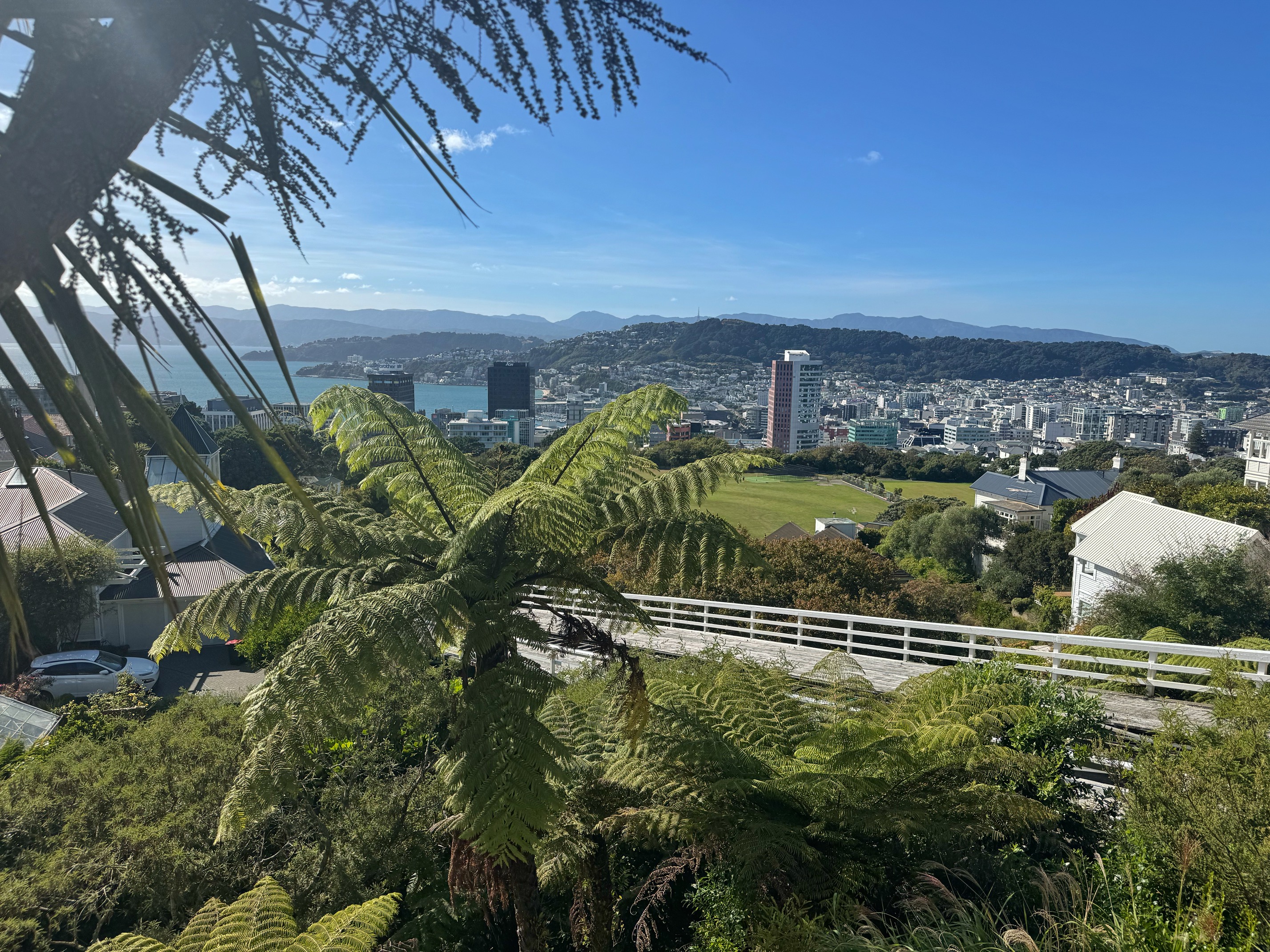 Wellington View