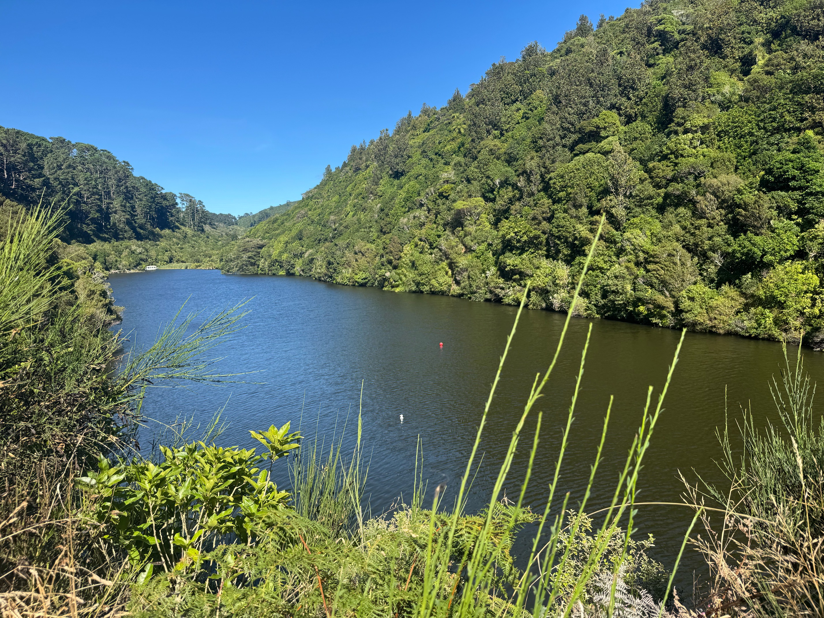 Zealandia 2 Zealandia 2